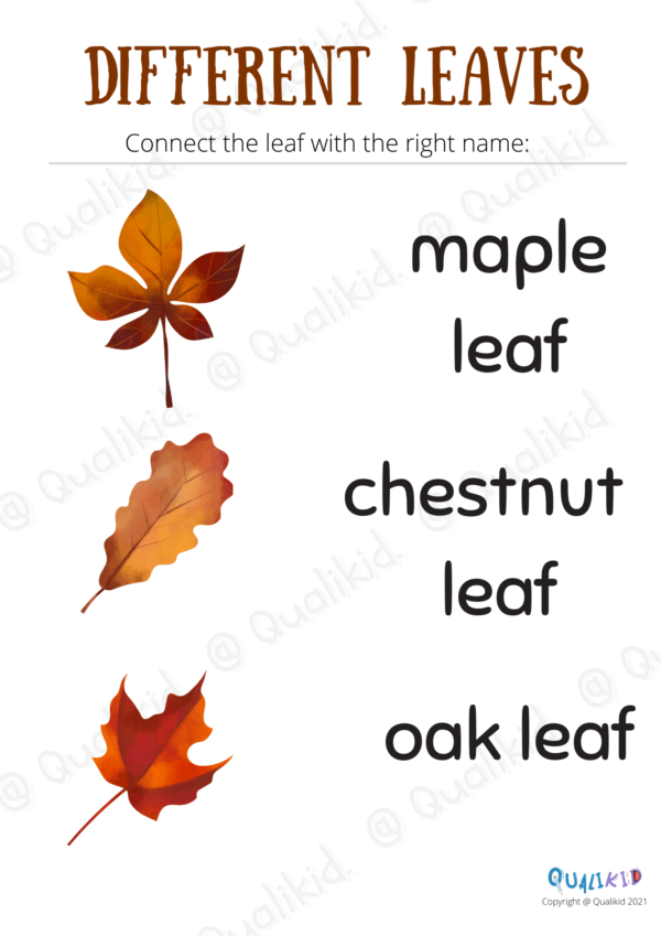 Printable Worksheets about the Autumn / Fall – Bild 5